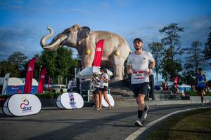 BIB: 
                            <button type="button" onclick="openModal(26541782)" class="btn btn-primary btn-sm float-right btn-popup" data-toggle="modal" data-target=".modal-high-quality">
                        <i class="fas fa-shopping-cart"></i> Add to Cart
                    </button>
                                            <button type="button" onclick="isThisMe(26541782, true)" class="btn btn-success btn-sm float-right btn-popup btn-isme hidden" data-toggle="tooltip" data-placement="bottom" title="นี่คือรูปของคุณใช่ไหม คลิกที่นี่เพื่อเอาเข้าอัลบั้ม">
                        <i class="fas fa-plus"></i> Add to album
                    </button>
                    <button type="button" onclick="isThisMe(26541782, false)" class="btn btn-warning btn-sm float-right btn-popup btn-isnotme hidden">
                        <i class="fas fa-ban"></i> Remove from album
                    </button>